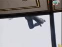 1751015166488.gif