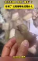 1751040213334.webm