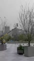1751044062230.webm
