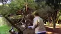 1751044770212.webm