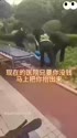1751046052759.webm