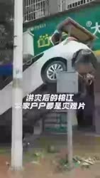 1751069388293.webm