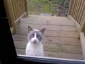 1751081850774.webm