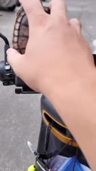 3795 KB