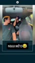 3982 KB