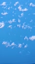 1602 KB
