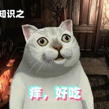 8 KB