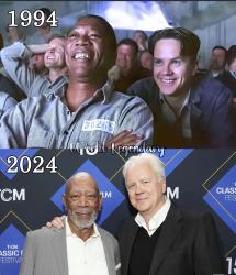 217 KB