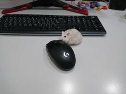 181 KB