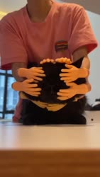 1564 KB