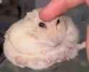 23 KB