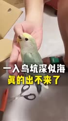 2173 KB