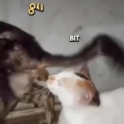742 KB