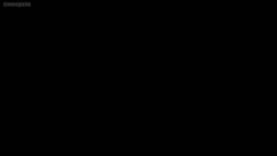 4902 KB