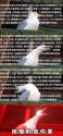 1754577303905.jpg