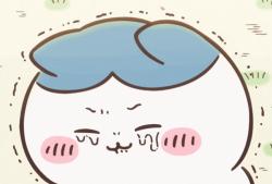1754669206127.gif