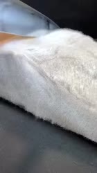 2700 KB