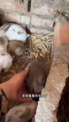 1754795325255.webm