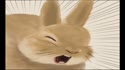 1754823724671.webm