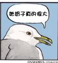 131 KB