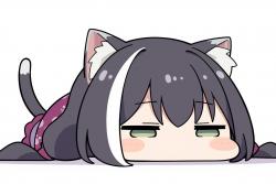 113 KB