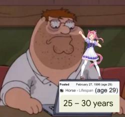 1754970973241.jpg