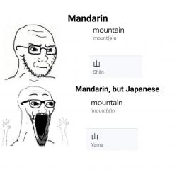 1754973847139.jpg