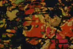 4849 KB