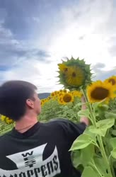 1754985270424.webm