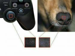 36 KB