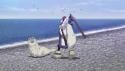 1755056863804.gif