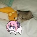 1755091265291.png