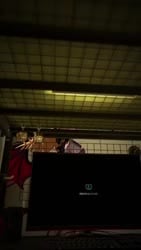1755092387818.webm