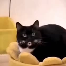 265 KB