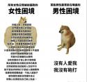 1755201166618.jpg
