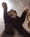 1755259184279.gif