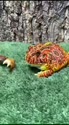 1755269670399.webm
