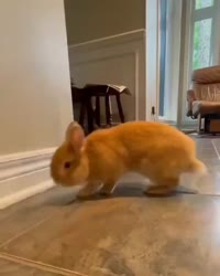 1755342724191.webm