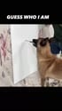 1755344300574.webm