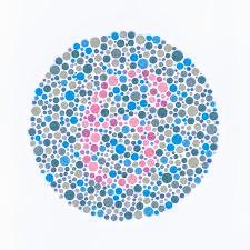 1755347676792.jpg