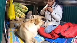 1755357207243.webm