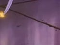 1755399289665.webm