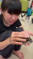1755428796103.webm