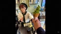 1755430373546.webm