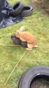 1755437888972.webm