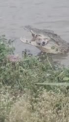 1755438333813.webm