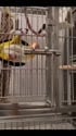 1755438856440.webm