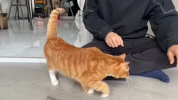 1755445608371.webm