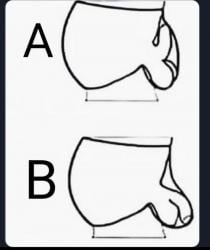 1755452634380.jpg