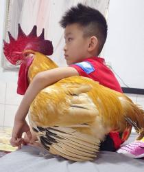 1755478211748.jpg